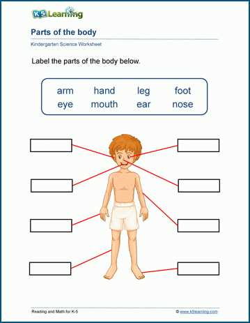 parts of the body printable parts of the body printable