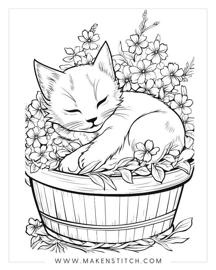 printable cat pictures to color printable cat pictures to color