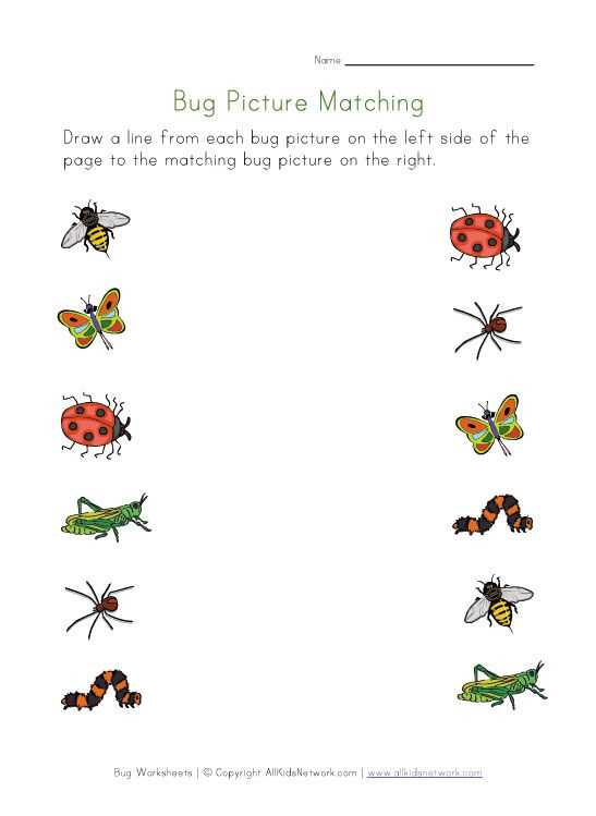 printable insect activities for preschoolers printable insect activities for preschoolers