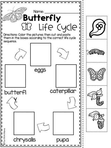 life cycle of a butterfly printable life cycle of a butterfly printable