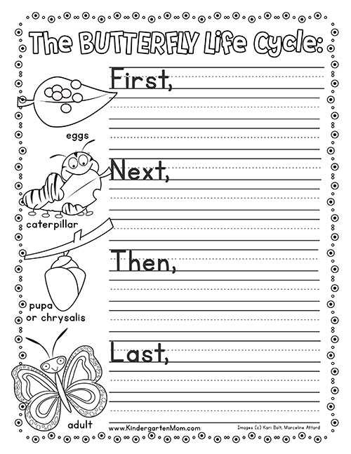 life cycle of a butterfly printable life cycle of a butterfly printable