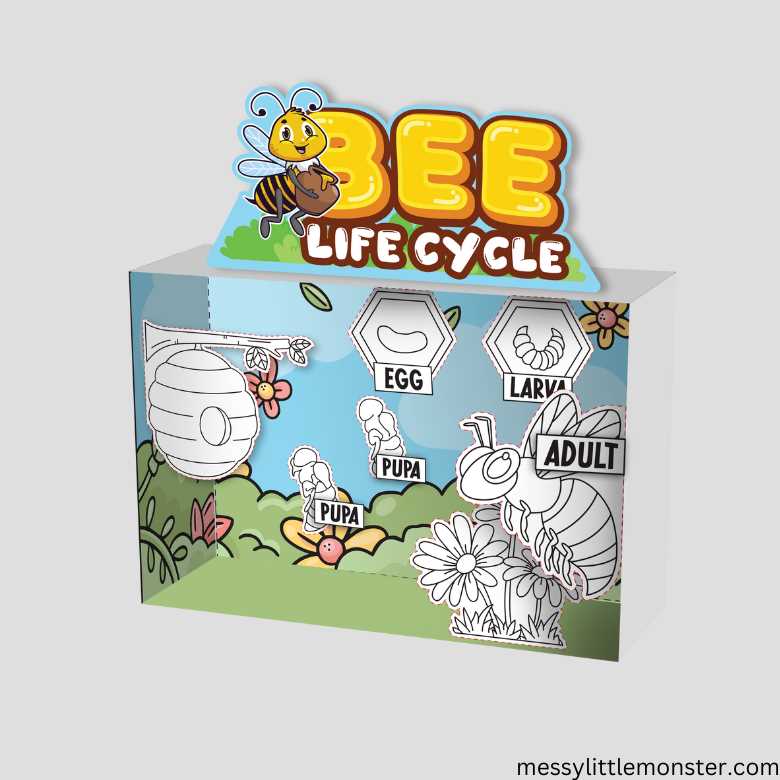 bee life cycle printable