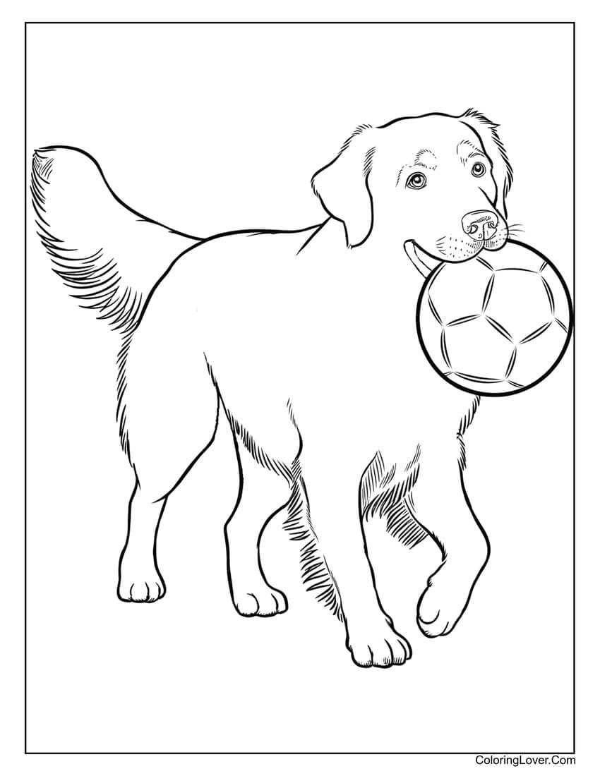printable dog colouring pages printable dog colouring pages