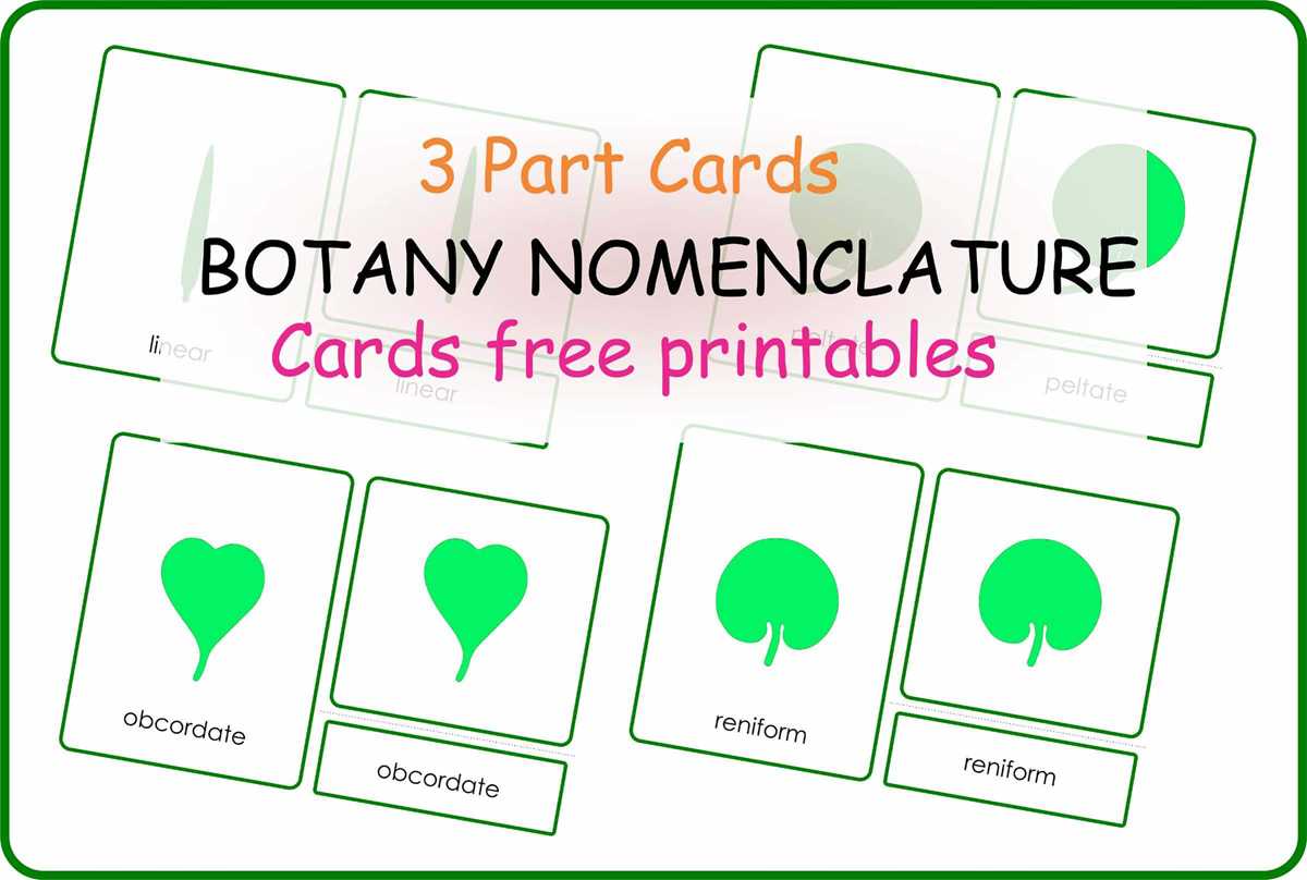 montessori free printables montessori free printables