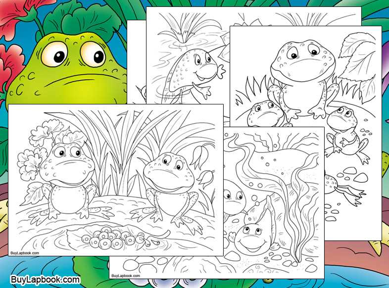 frog life cycle free printable frog life cycle free printable