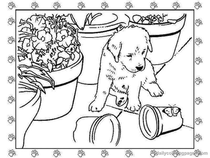 free printable puppy coloring pages