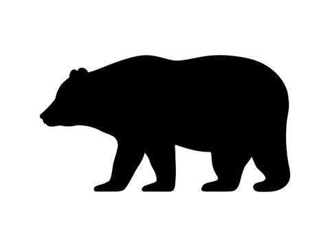 outline of bear printable