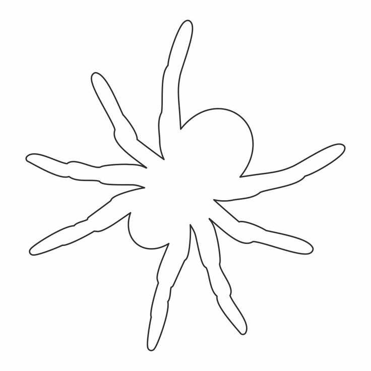 spider outline printable spider outline printable