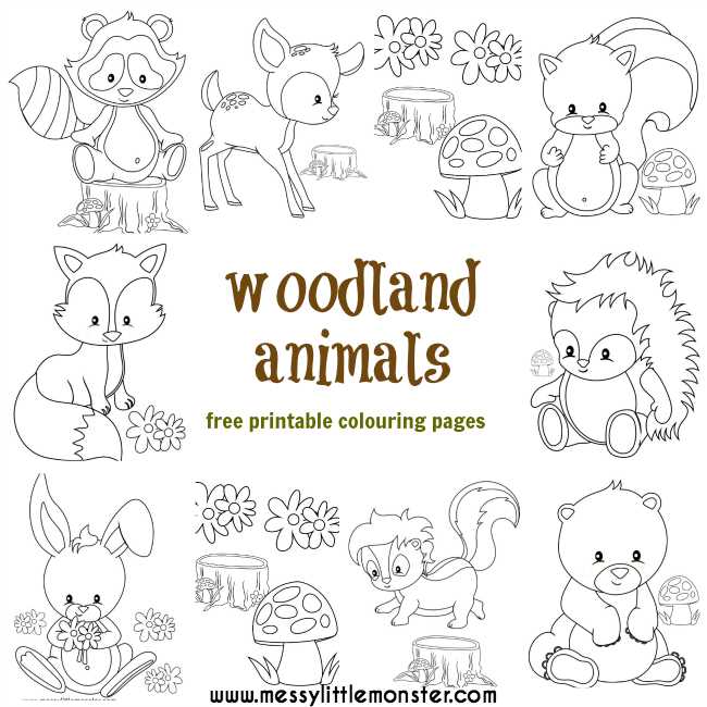 printable animal colouring sheets printable animal colouring sheets