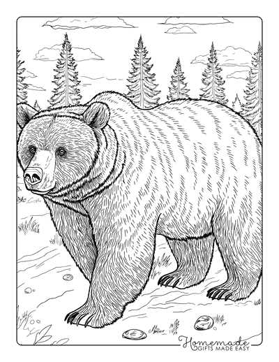 printable bear pictures to color
