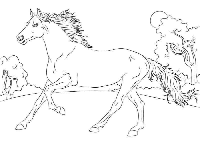 printable coloring pictures of horses printable coloring pictures of horses