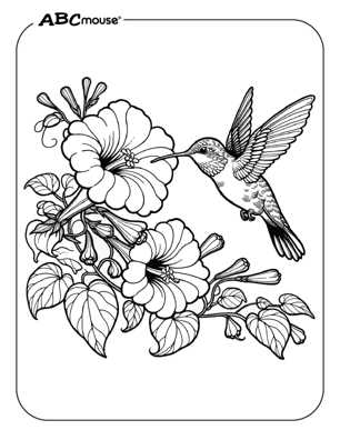 printable coloured flowers printable coloured flowers