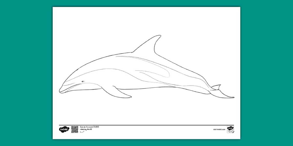 printable pictures of dolphins printable pictures of dolphins