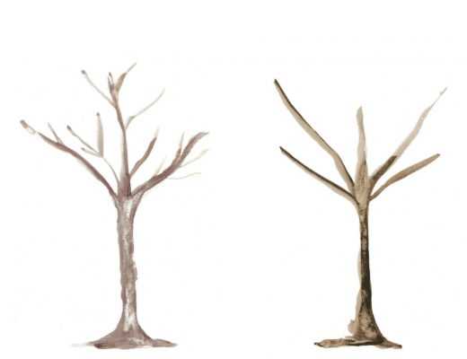 printable tree trunk