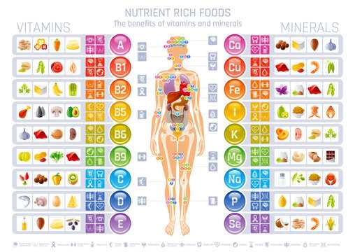 printable vitamin chart printable vitamin chart