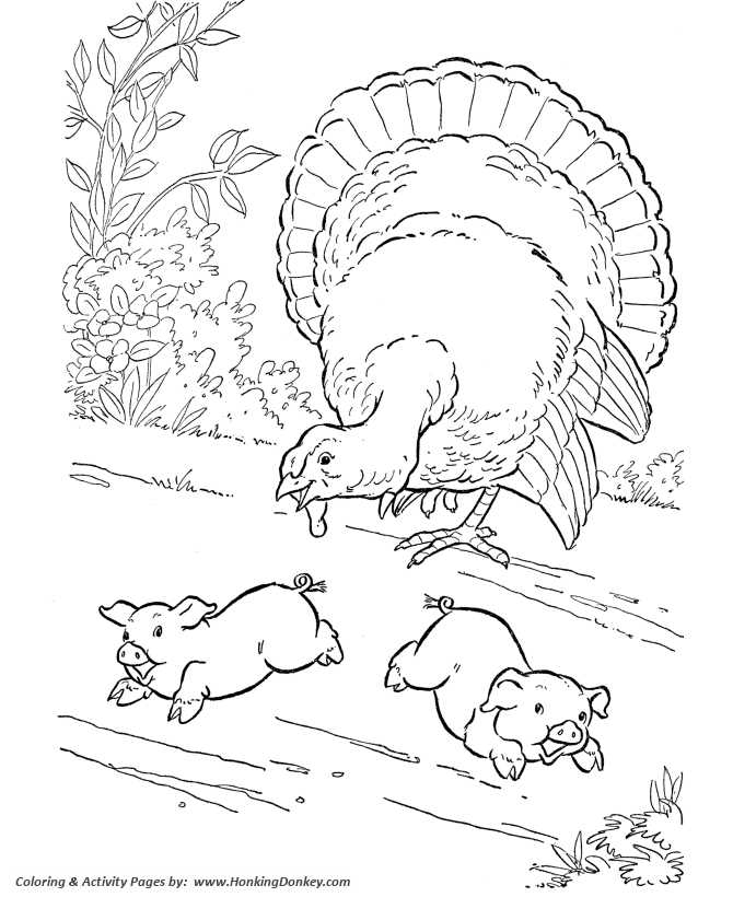 printable turkey for coloring printable turkey for coloring