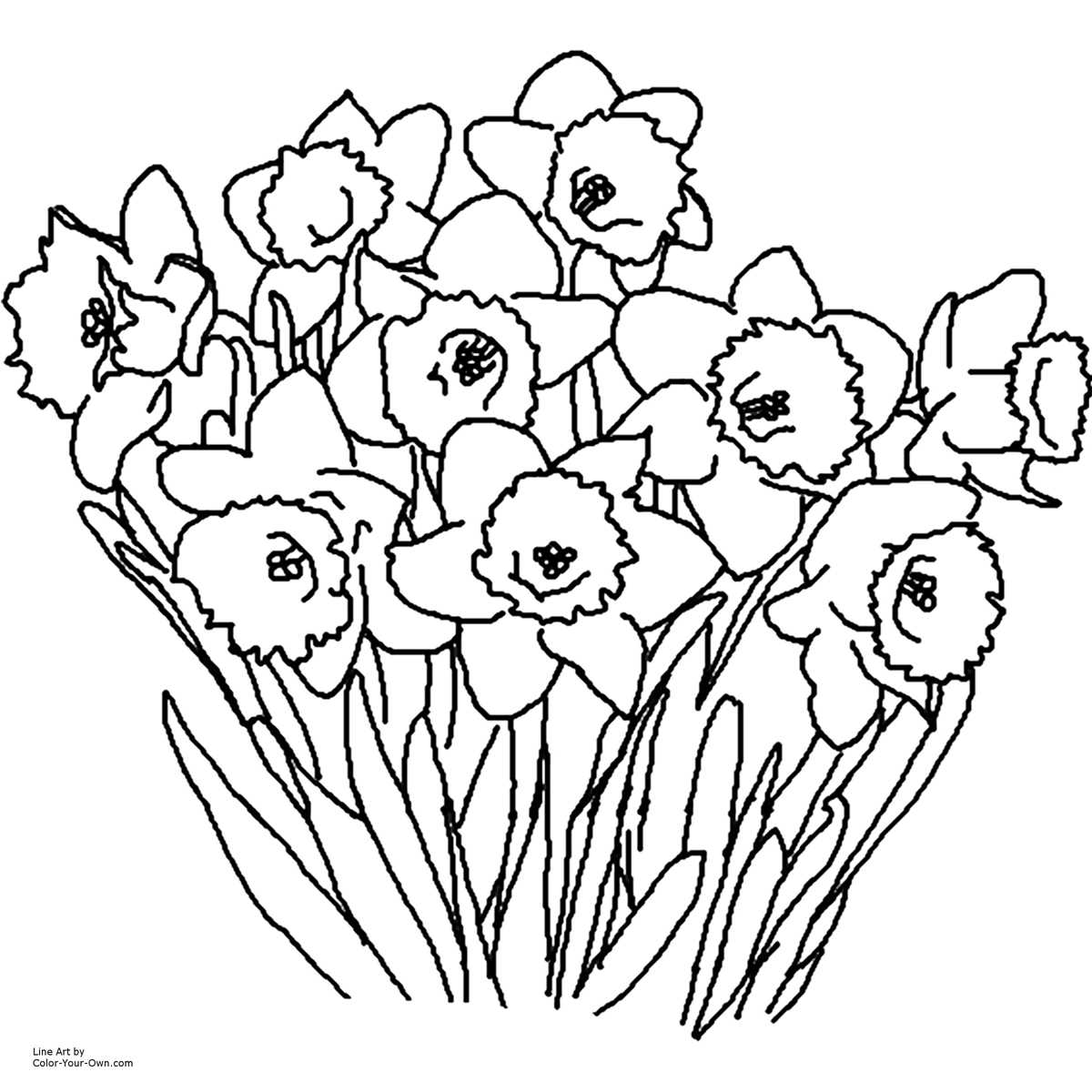 spring flower printable spring flower printable