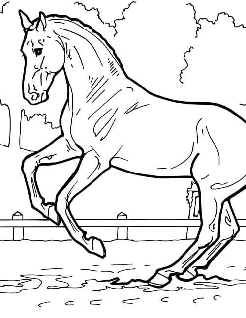 free printable horse coloring page free printable horse coloring page