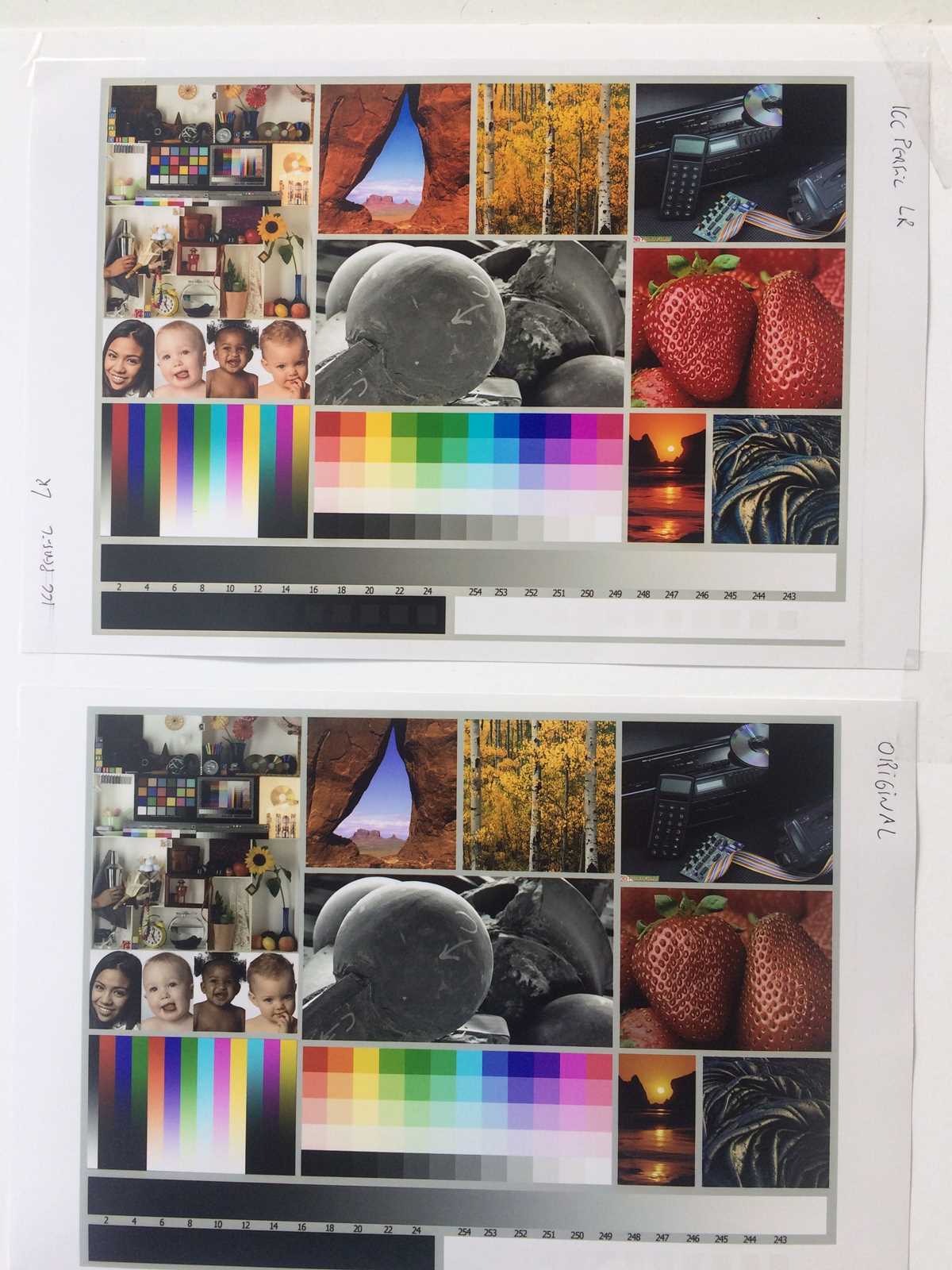 printable color test printable color test