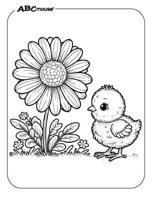 daisy coloring pages printable daisy coloring pages printable