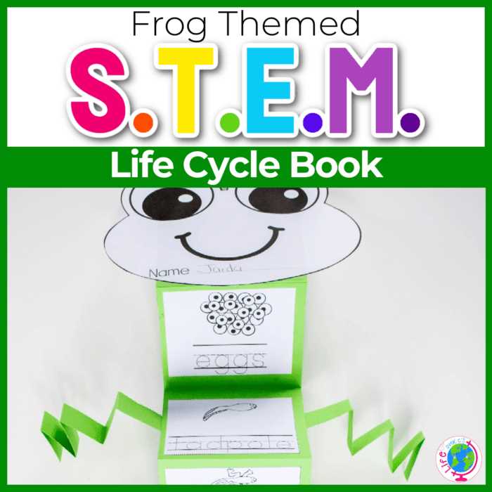 frog life cycle free printable frog life cycle free printable