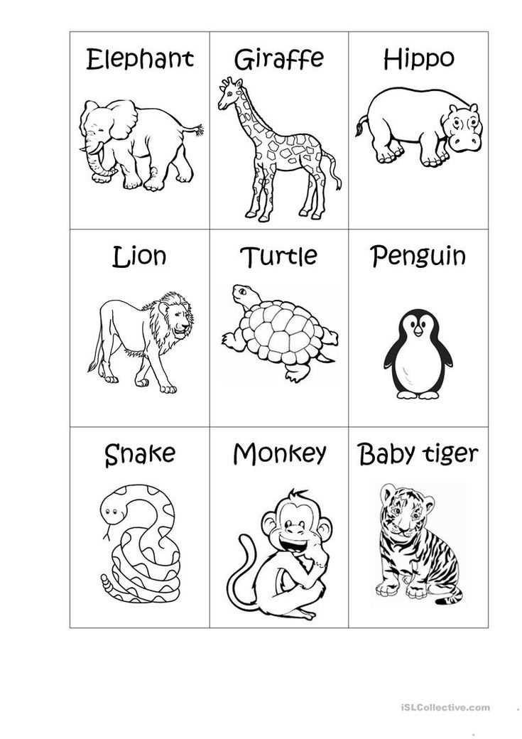 zoo animals printable zoo animals printable